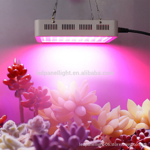 led grow light for hydropnic indoor greenhouse grow tent underground plants growing